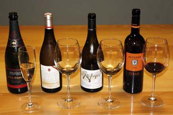 DANONTZAT vinos 2 2716 OJ151
