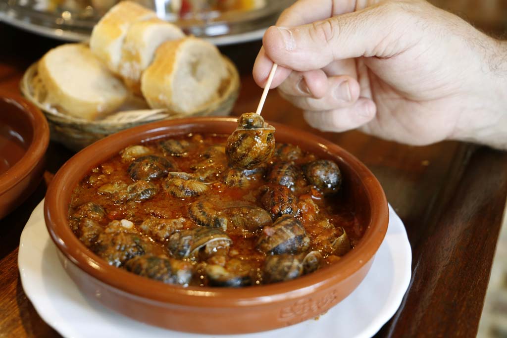 ITURRIOZ Pintxo Bonito 0487 wA312