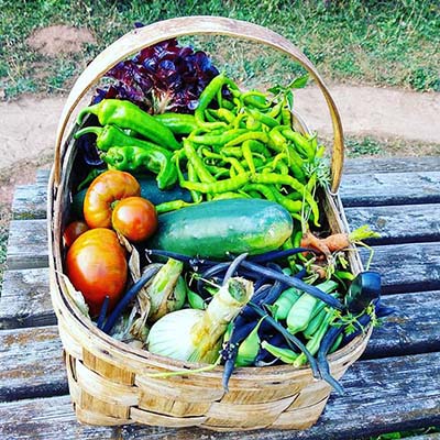 NERE Ecoturismo gastro w210
