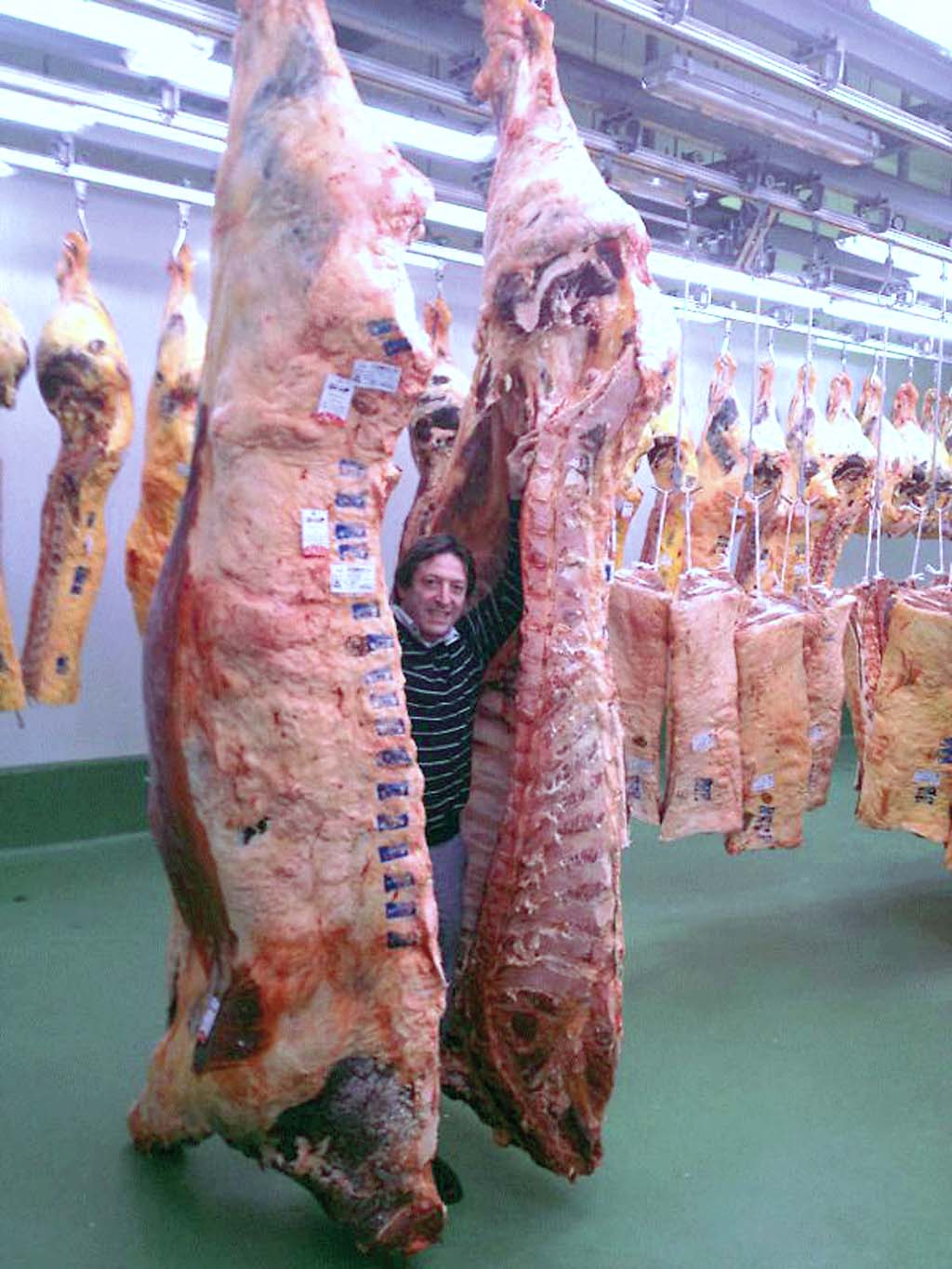 PATXI BUEY OJ119