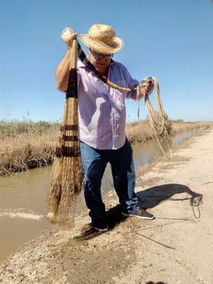 ARROZ, FLAMENCO Y MISTELA: LOS PALACIOS Y VILLAFRANCA Imagen 1