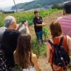 LOS SECRETOS DEL CASERÍO VASCO 