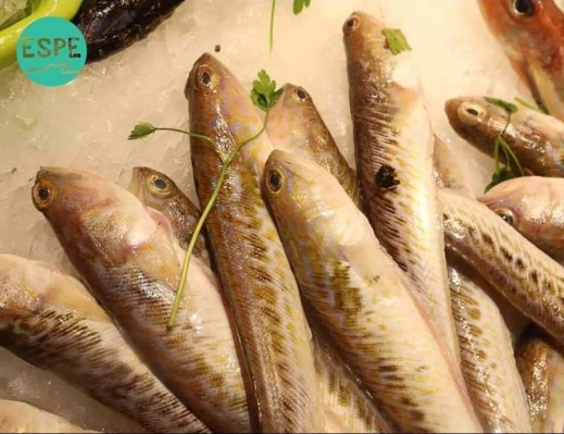 L@S NIÑ@S Y EL PESCADO Imagen 1