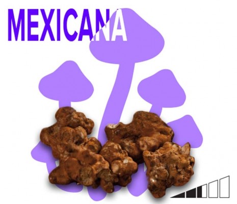 EL HECHIZO MEXICANO DE LA NATURALEZA Imagen 1