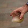 SIDRA, CÁNCER... Y EUROPA