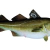 BACALAO SKREI