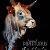 PIRITAURUS: UNA APUESTA  ANCESTRAL, LOCAL Y DE RAZA