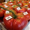 PROPIEDADES NUTRICIONALES DEL TOMATE