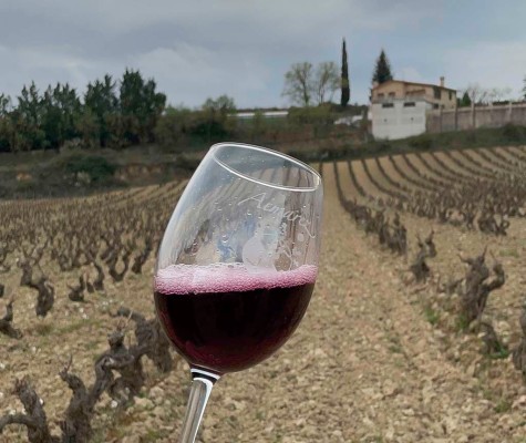 LA LEY DE LA VIÑA Y EL VINO Imagen 1