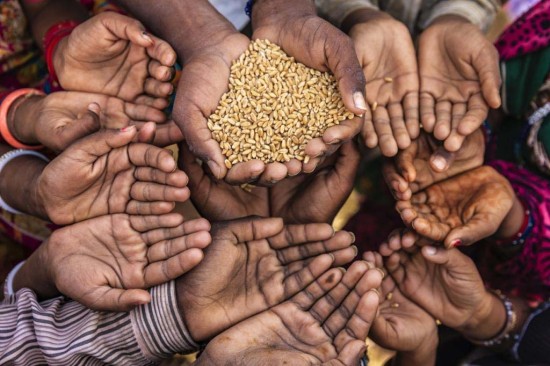 RETOS EN ALIMENTACIÓN EN UN MUNDO CADA VEZ MÁS EXTREMO Imagen 1