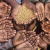 RETOS EN ALIMENTACIÓN EN UN MUNDO CADA VEZ MÁS EXTREMO