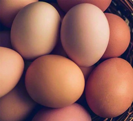 HASTA LOS HUEVOS !!! Imagen 1