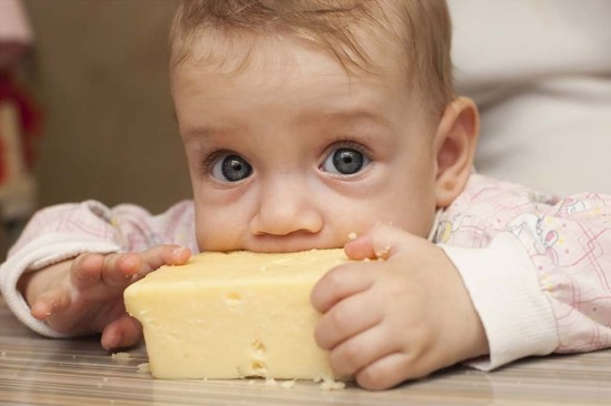 CONSUMO DE QUESO Y SALUD: CREENCIAS Y EVIDENCIAS Imagen 1