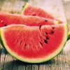 ¿COFRE DE AGUA PLÁCIDA O UNA FILFA?