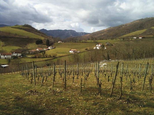 DETRÁS DE UN GRAN VINO... Imagen 1