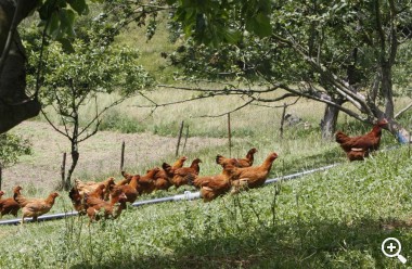 JAKITEA VISITÓ LUMAGORRI EN ZERAIN Imagen 1