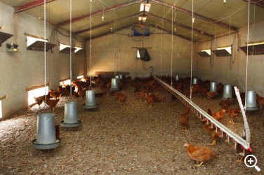 JAKITEA VISITÓ LUMAGORRI EN ZERAIN Imagen 1