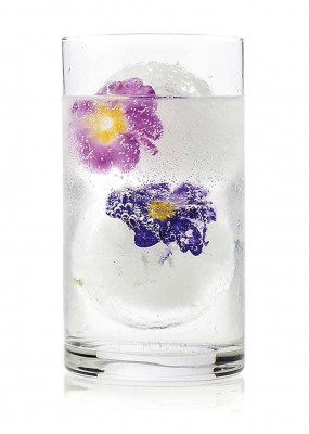 CÓMO HACER UN BUEN GIN-TONIC Imagen 1