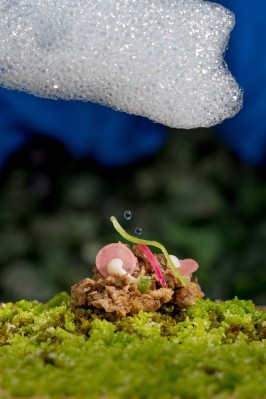 TEXTURA, TEMPERATURA Y SABOR Imagen 1