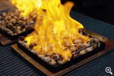 ALL I OLI: CALÇOTS Y OTRAS DELICIAS DE CATALUNYA Imagen 1