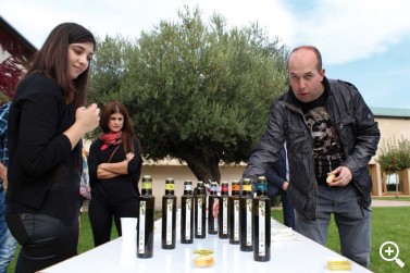 ARTAJO: VISITA AL TRUJAL DE UNO DE LOS MEJORES ACEITES DE NA ... Imagen 1