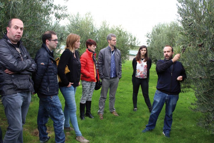 ARTAJO: VISITA AL TRUJAL DE UNO DE LOS MEJORES ACEITES DE NA ... Imagen 1