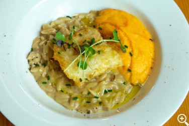 BARATZE GOURMET (EIBAR): BARATZE: LA HUERTA URBANA DE UNAI A ... Imagen 1