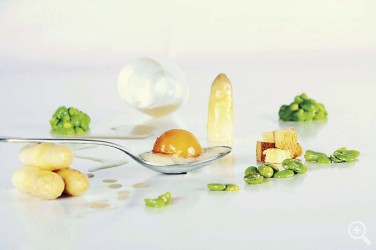 EL GRUPO IRUN + GASTRONOMÍA CELEBRÓ UNA “CENA DE PRIMAVERA”  ... Imagen 1