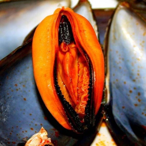 Carlos Lahoz: 10_MEJILLONES A LA SIDRA Imagen 1