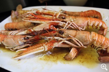 CAROL ARCHELI: PASIÓN POR EL BUEN PESCADO Imagen 1