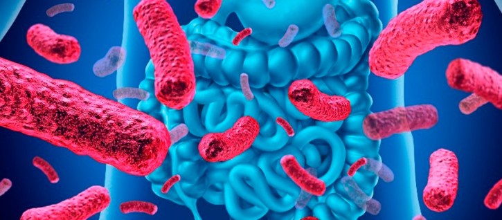 SOMOS LO QUE COMEMOS; NOSOTROS Y NUESTRA MICROBIOTA. MICROBI ... Imagen 1