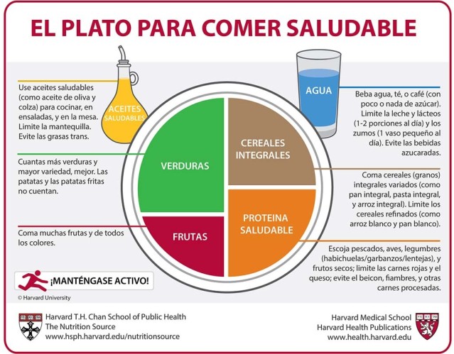 EL PATRÓN DE ALIMENTACIÓN Imagen 1