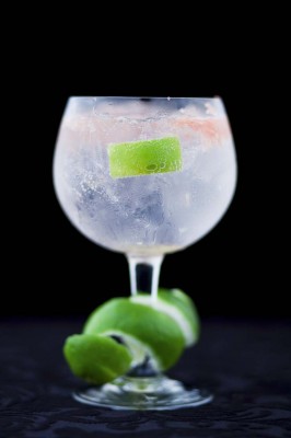 LOS ORÍGENES DEL GIN &amp; TONIC Imagen 1
