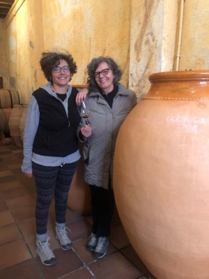 EL VINO ES DEVENIR Imagen 1