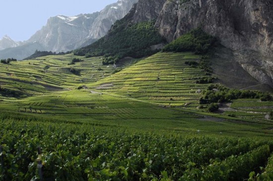 PAISAJES DE PELÍCULA Y VINOS SORPRENDENTES Imagen 1