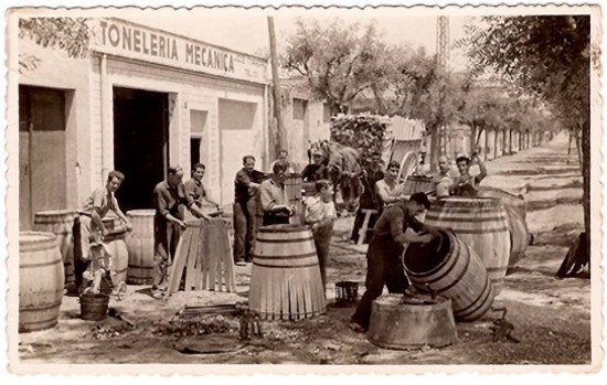 ¿Y POR QUÉ DE ROBLE? Imagen 1
