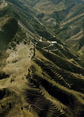 ENTRE BUCÓLICAS MONTAÑAS Y VIÑEDOS IMPOSIBLES Imagen 1