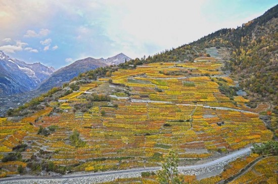 UNA DE TERROIR Imagen 1