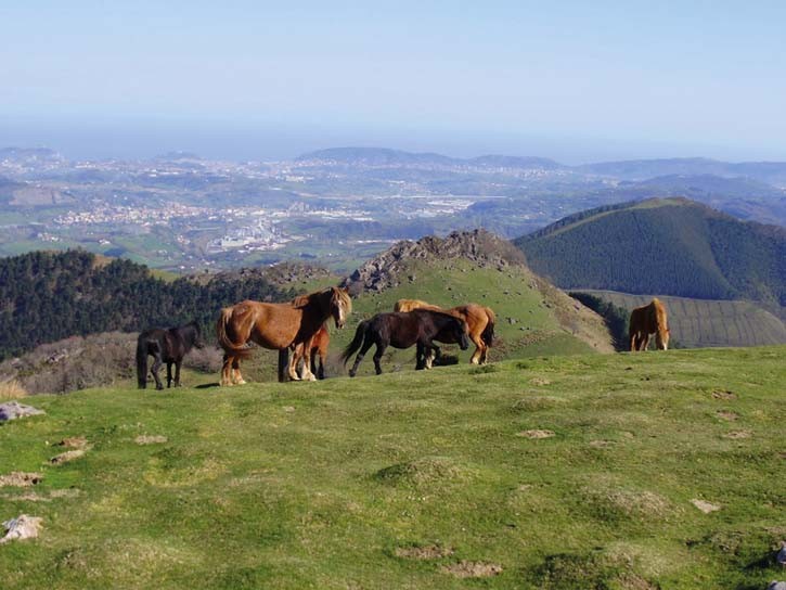 EUSKADI GASTRONOMIKA: ANDOAIN-ASTIGARRAGA-HERNANI-URNIETA-LA ... Imagen 1