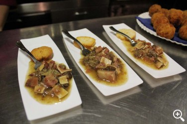 CATA DE VALLOBERA EN ERKIAGA DE GASTEIZ Imagen 1
