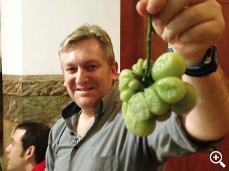 TUDELA HOMENAJEÓ A SUS TOMATES MÁS FEOS Imagen 1