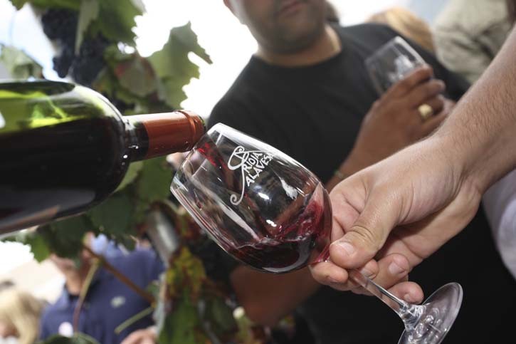 EUSKADI GASTRONOMIKA: RIOJA ALAVESA Imagen 1