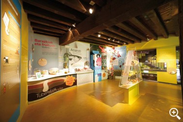 EUSKADI GASTRONOMIKA: GOIERRI Imagen 1