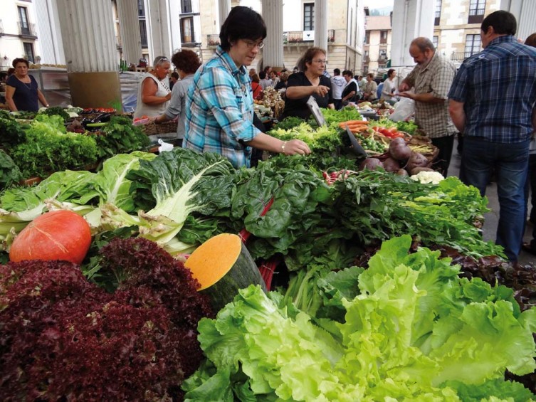 EUSKADI GASTRONOMIKA: GOIERRI Imagen 1