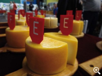 EUSKADI GASTRONOMIKA: GOIERRI Imagen 1
