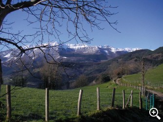 EUSKADI GASTRONOMIKA: GOIERRI Imagen 1