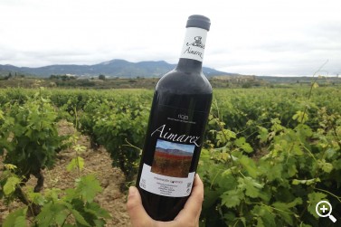 BODEGAS EL OTERO-AIMAREZ: LA FUERZA DE UNA FAMILIA Imagen 1