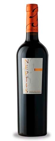 NEPTIS EXPRESIÓN 2015 (D.O. RIBERA DEL DUERO) Imagen 1