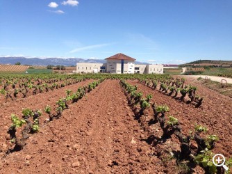 “SOROS” DE MARTÍNEZ CORTA: MEJOR CRIANZA 2015 DE LA RIOJA Imagen 1