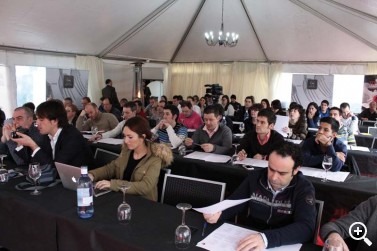 MURGIA ACOGIÓ EL SEGUNDO CONGRESO “MINIMAL”, DEDICADO A LA A ... Imagen 1